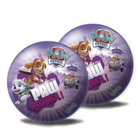 Patrulla Canina Everest Balón