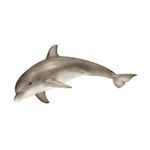 Figura-de-Delfin