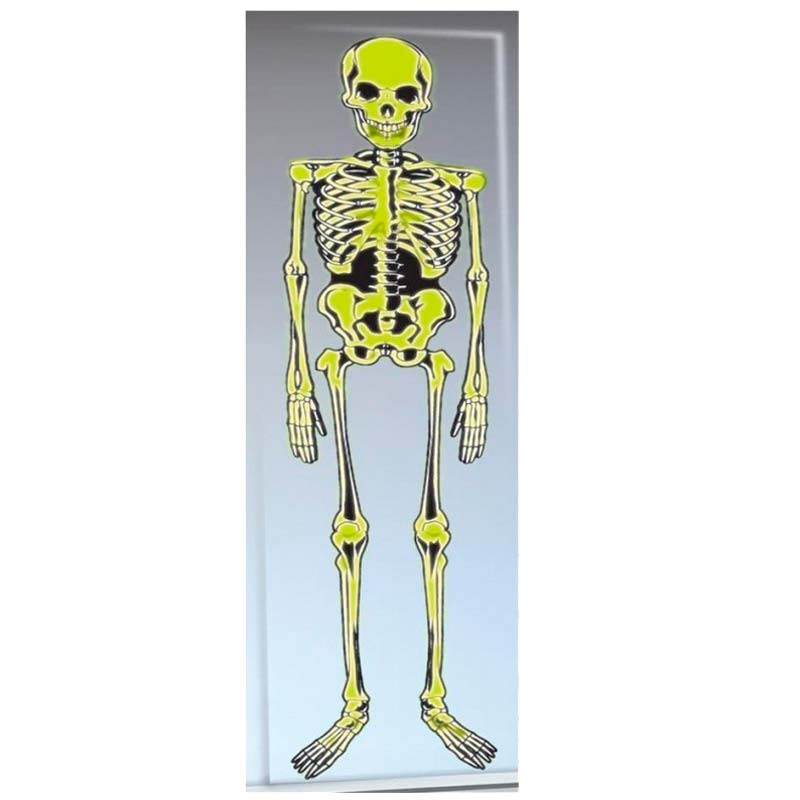 Esqueleto-de-Decoracion
