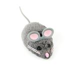Hexbug-Nano-raton