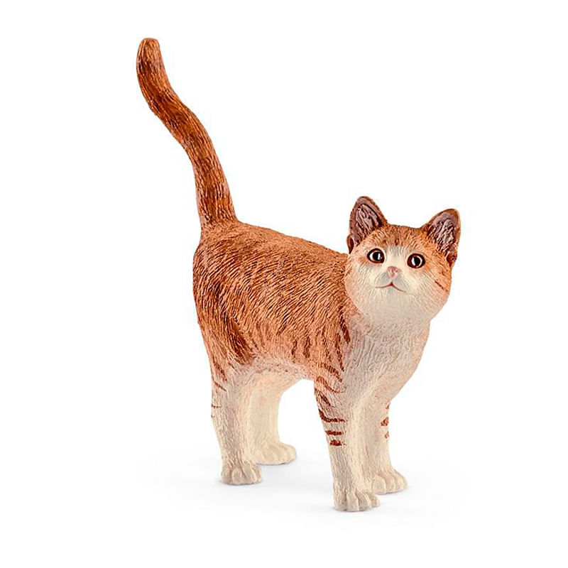 Figura-de-Gato