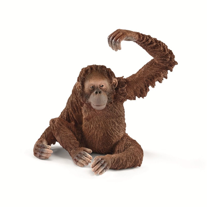 Figura-de-Orangutan-Hembra