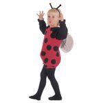 Disfraz-Mariquita-Infantil