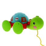 Tortuga-de-Arrastre-Infantil