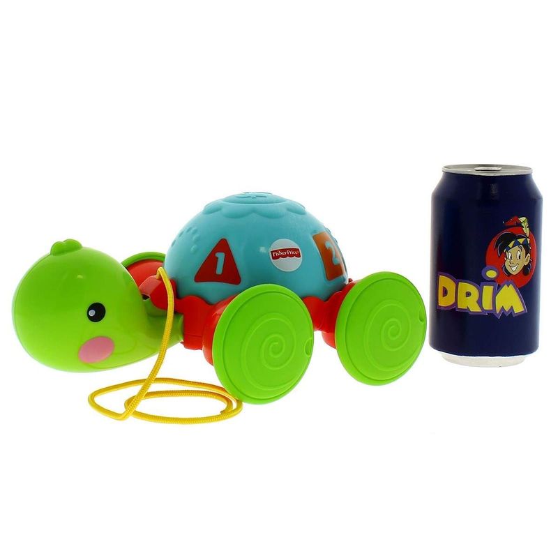 Tortuga-de-Arrastre-Infantil_3
