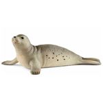 Figura-de-Foca
