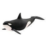 Figura-de-Orca