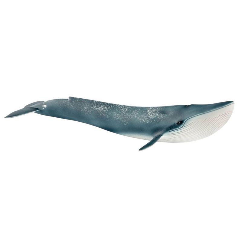 Figura-de-Ballena-Azul