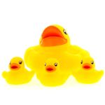 Familia-de-Patitos-Acuaticos_2