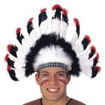 Penacho-de-Indio-Comanche