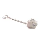 Cadena-Portachupetes---Protector-de-Tetina-Gris