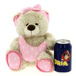 Oso-de-Peluche-Rosa-23cm_1