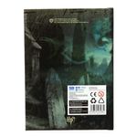 Libreta-Voldemort-con-Luz_2