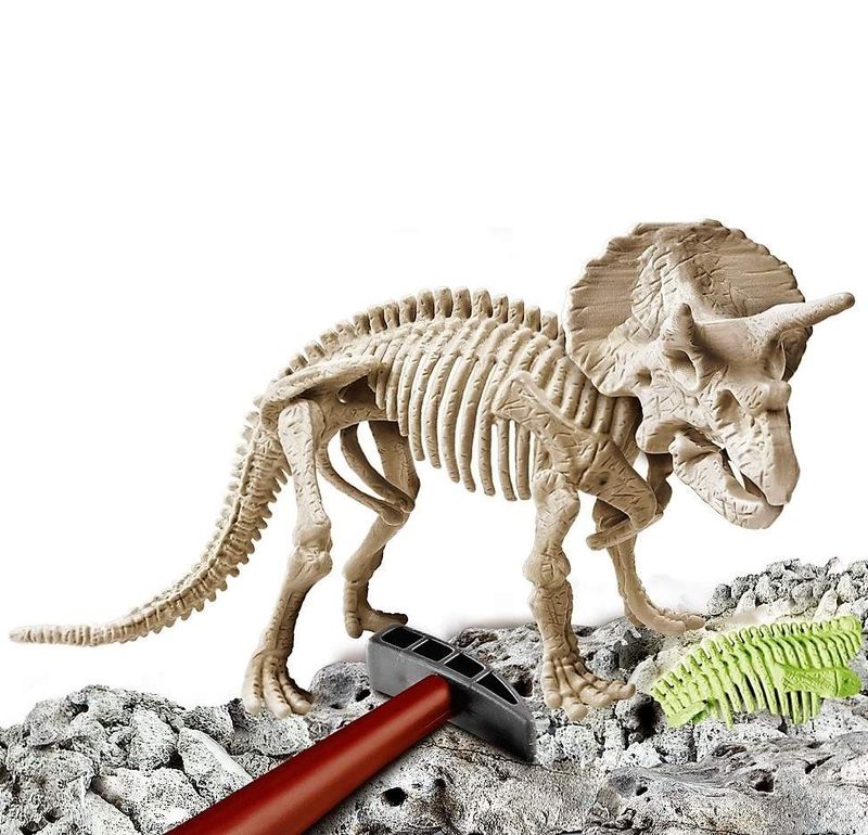 Arqueo-Jugando-Triceratops_1