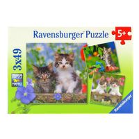 Puzzle Gatitos Atigrados 3 x 49 Piezas