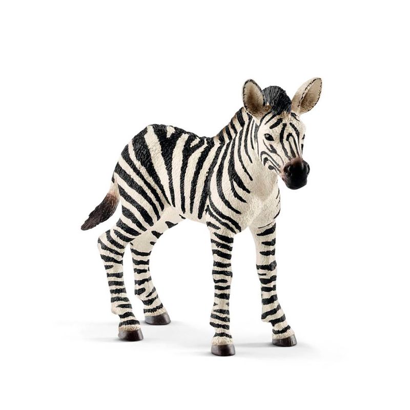 Figura-de-Cria-de-Cebra