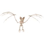 Esqueleto-Murcielago-Accesorio-Halloween