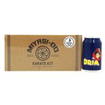 Kit-Coleccion-Karate-Kid_3