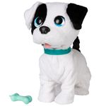 Perrito-Bowie-Besitos-de-Verdad