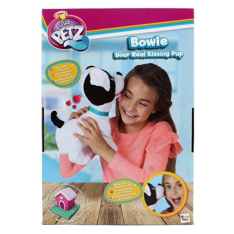 Perrito-Bowie-Besitos-de-Verdad_2