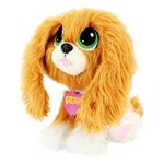 Rescue-Runts-Perrito-Busca-Hogar-Spaniel