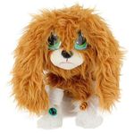 Rescue-Runts-Perrito-Busca-Hogar-Spaniel_1