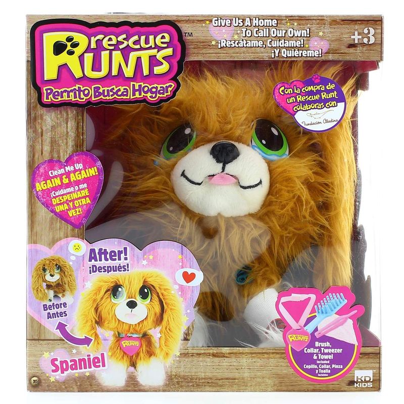 Rescue-Runts-Perrito-Busca-Hogar-Spaniel_2