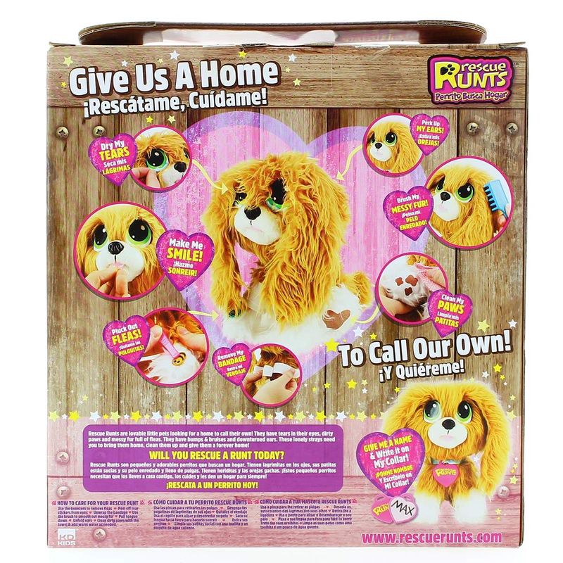 Rescue-Runts-Perrito-Busca-Hogar-Spaniel_3
