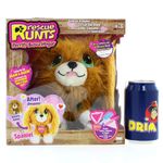 Rescue-Runts-Perrito-Busca-Hogar-Spaniel_4