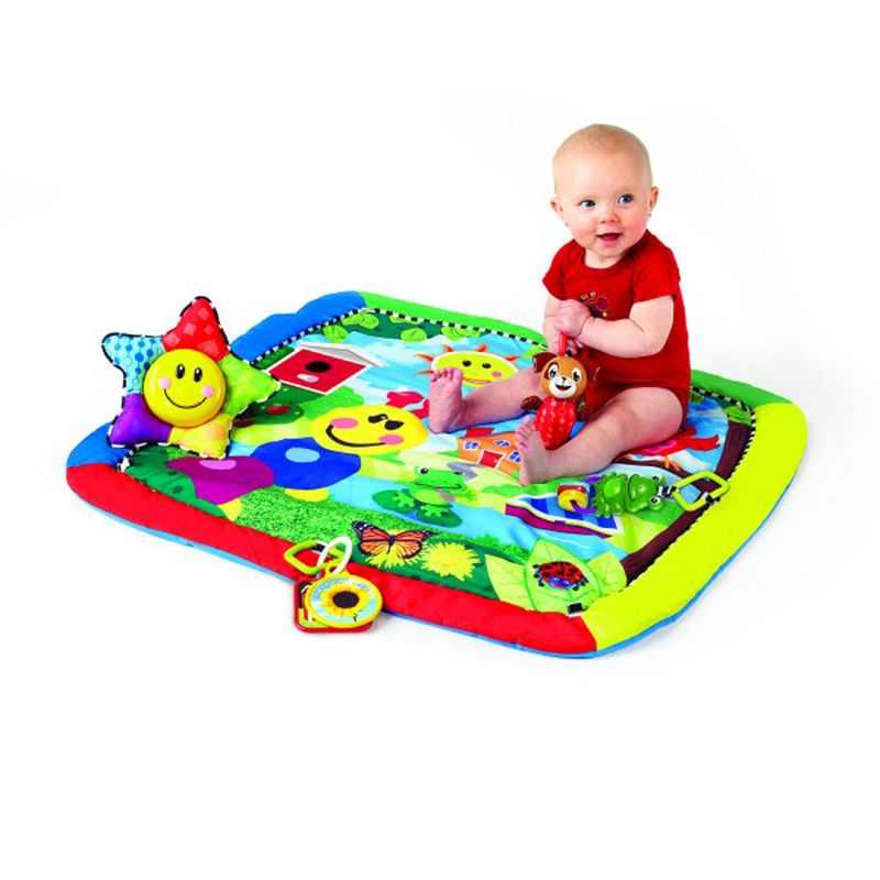 Gimnasio-Gusano-Baby-Einstein_3