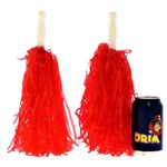 Pom-Pom-Animadora_2