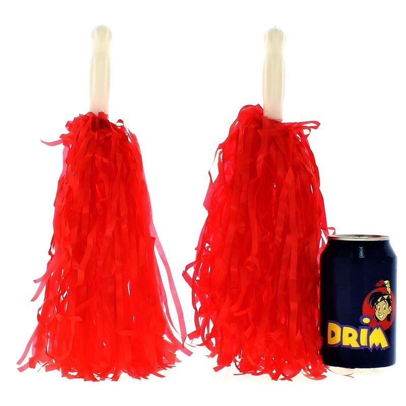 Pom-Pom-Animadora_2