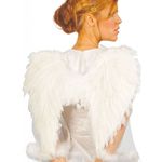 Alas-de-Angel-Plumas-60x40-cm