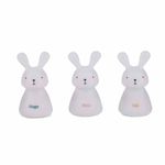 Trio-Camino-Luz-USB-Bunnies