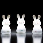 Trio-Camino-Luz-USB-Bunnies_1