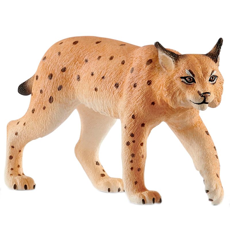 Figura-Lince
