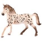 Figura-Semental-Knabstrupper