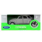 Citroen-Plateado-Vehiculo-1-60