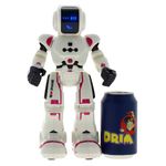 Robot-R-C-Sophie_2