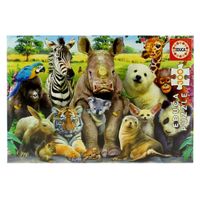 Puzzle 300 Piezas Foto de Clase