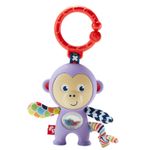 Fisher-Price-Sonajeros-y-Mordedores-Surtido_4