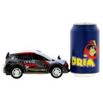 Coche-R-C-Rally-Monster_4