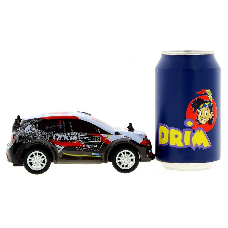 Coche-R-C-Rally-Monster_4