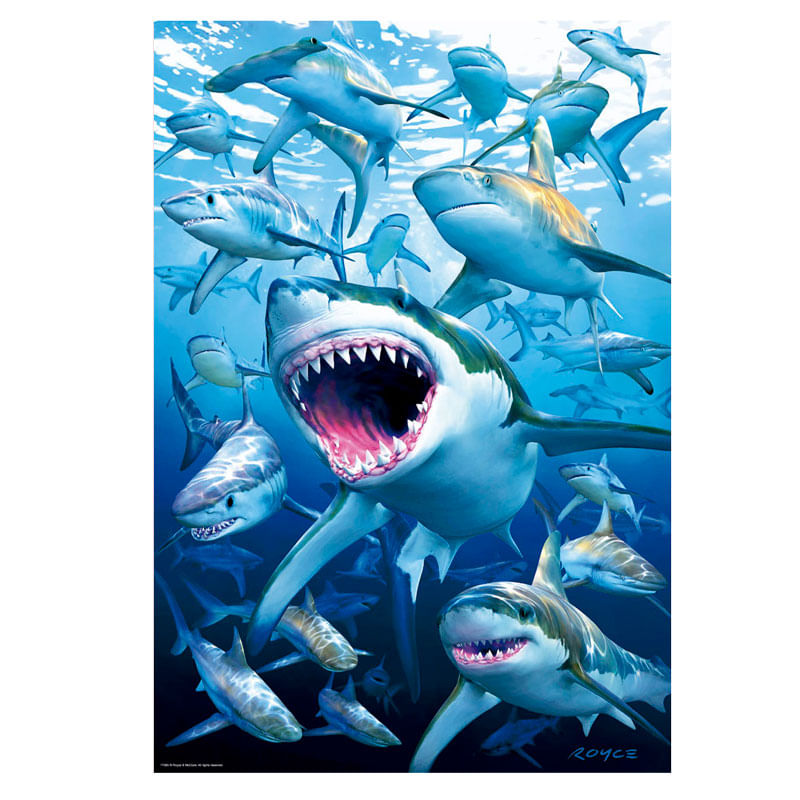 Puzzle-500-Piezas-Tiburones_1