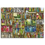 Puzzle-La-Biblioteca-Extraña--de-1000-piezas_1