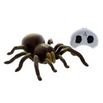 Tarantula-R-C