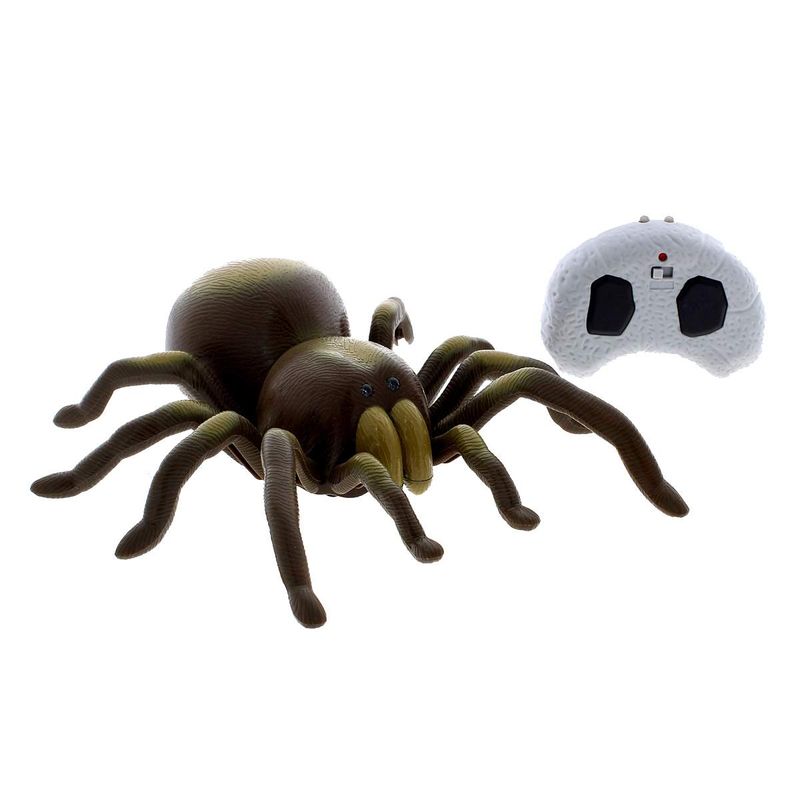 Tarantula-R-C