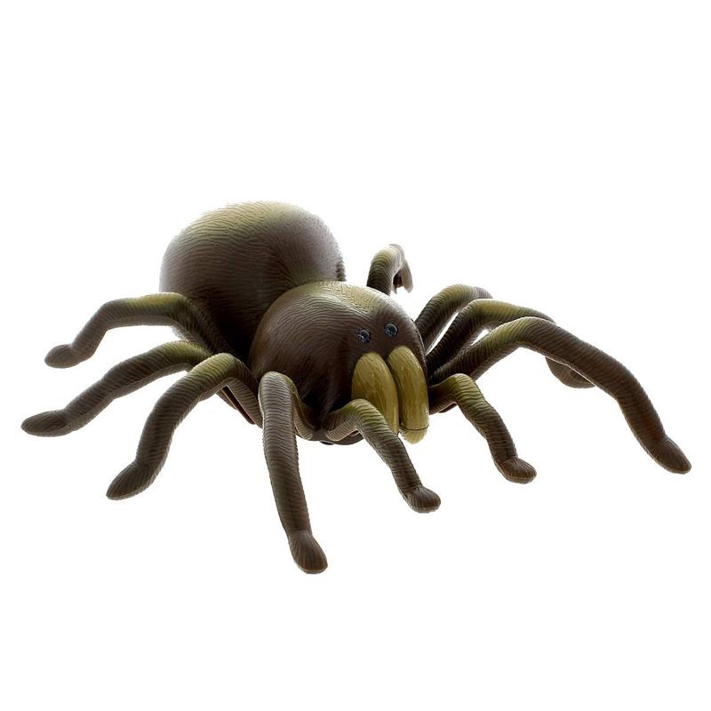 Tarantula-R-C_1
