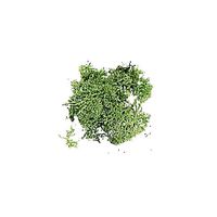 Bolsa Musgo (12 g) Verde