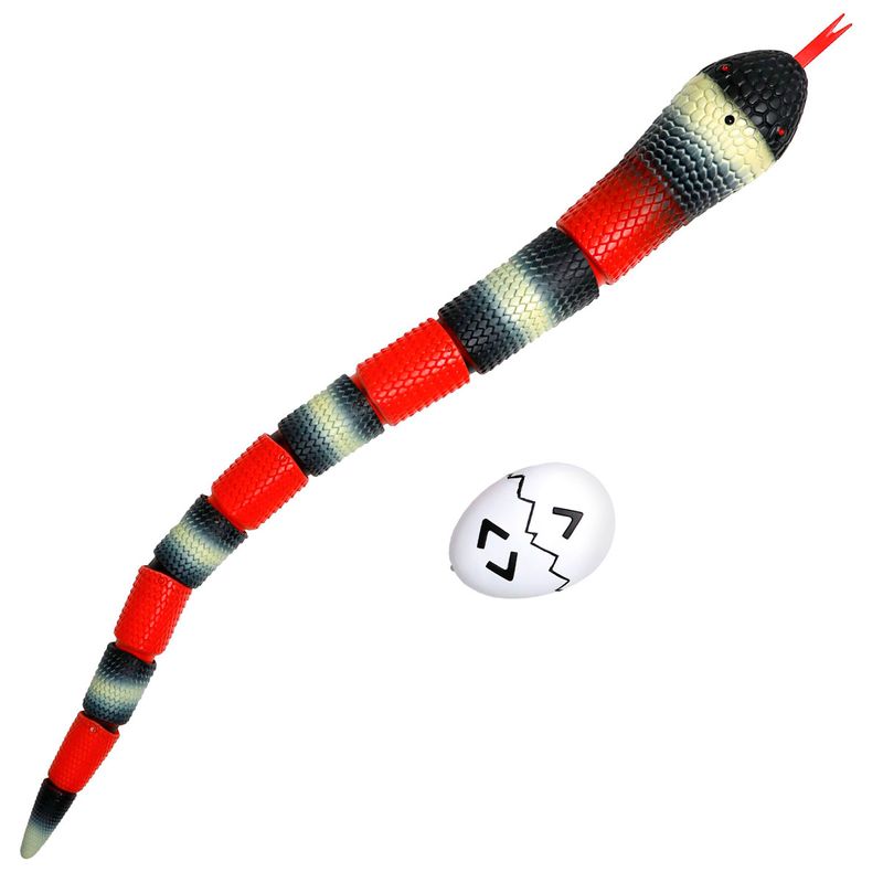 Discovery-Serpiente-Kingsnake-R-C